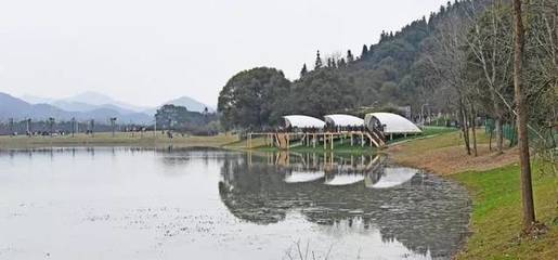 現實版開心農場來了！就在宜春中心城區，感受田園樂趣
