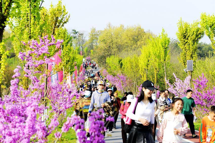 湖北老河口 一天4.5萬人次，共赴一場春日休閑觀光盛宴